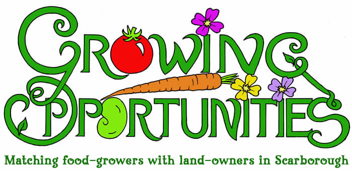 Growing Opportunities: Matching food-growers with land-owners in Scarborough, North Yorkshire