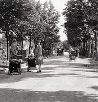 Chestnut Grove, New Earswick